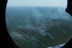 Вид на лесной пожар