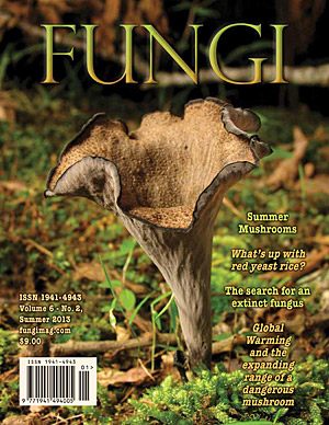 Вышел свежий номер журнала Fungi